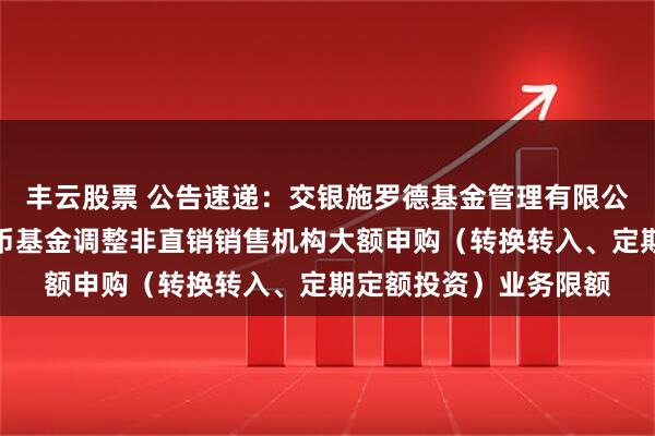 丰云股票 公告速递：交银施罗德基金管理有限公司关于交银天鑫宝货币基金调整非直销销售机构大额申购（转换转入、定期定额投资）业务限额