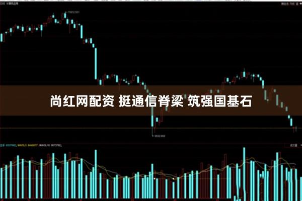 尚红网配资 挺通信脊梁 筑强国基石