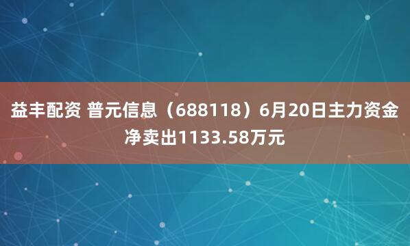 益丰配资 普元信息（688118）6月20日主力资金净卖出1133.58万元