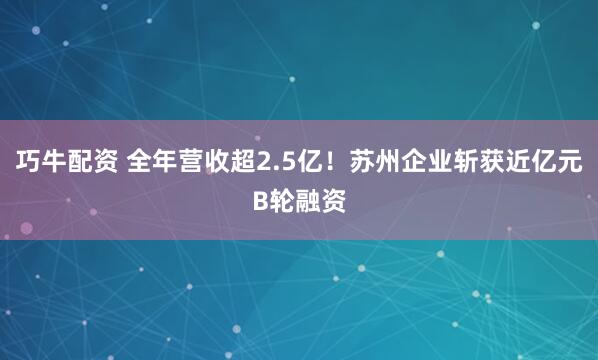 巧牛配资 全年营收超2.5亿！苏州企业斩获近亿元B轮融资