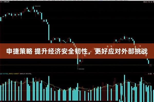 申捷策略 提升经济安全韧性，更好应对外部挑战