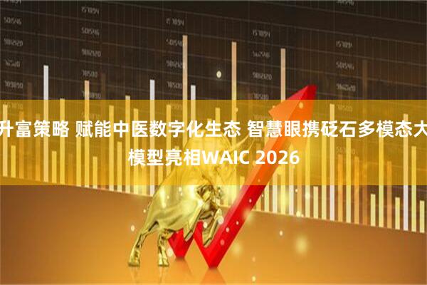 升富策略 赋能中医数字化生态 智慧眼携砭石多模态大模型亮相WAIC 2026